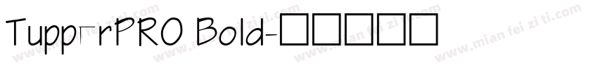 TupperPRO Bold字体转换